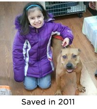 Marcy: adopted!
