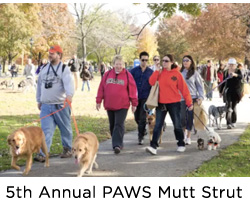 5th Annual PAWS Mutt Strut